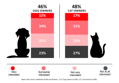 pet telehealth